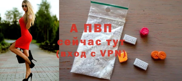 СК Протвино