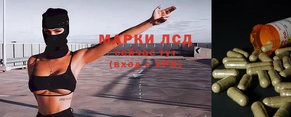 СК Протвино