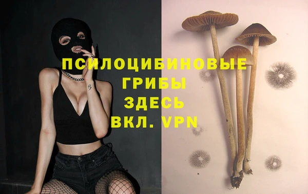 ALPHA PVP Пролетарск