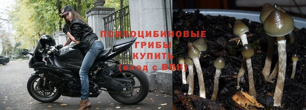 ALPHA PVP Пролетарск