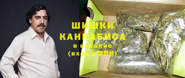 СК Протвино