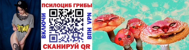 Купить где  Наро-Фоминск  Псилоцибиновые грибы мицелий 